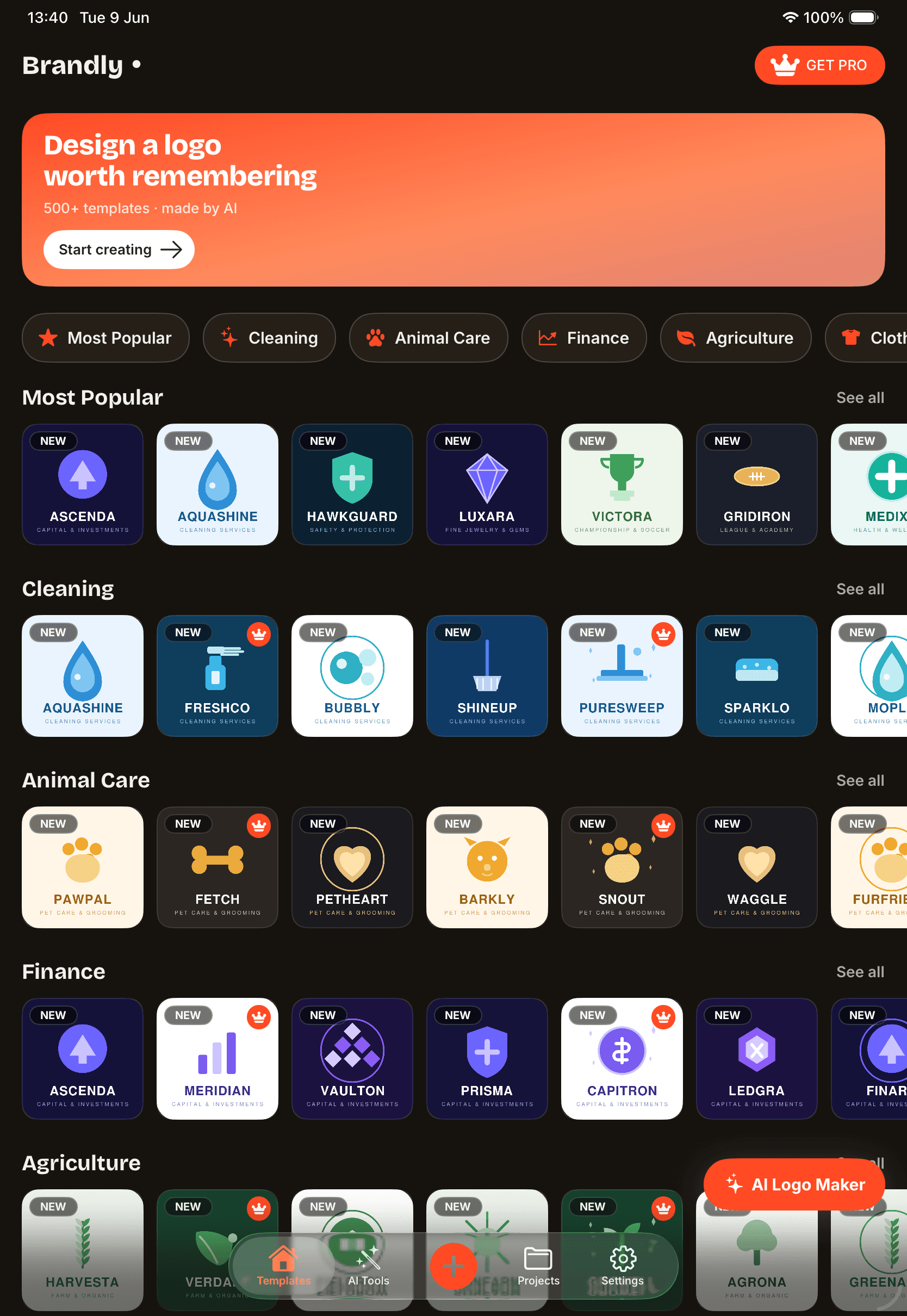 Brandly on iPad — templates browsed by industry